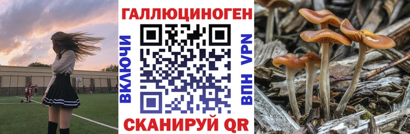Галлюциногенные грибы мухоморы  закладка  Щёлково 
